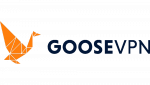 Goose VPN Test: Kosten, free trial, Chrome